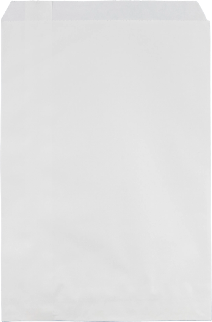 Kraft Paper Merchandise Bags: Natural / Case of 1000 / Small