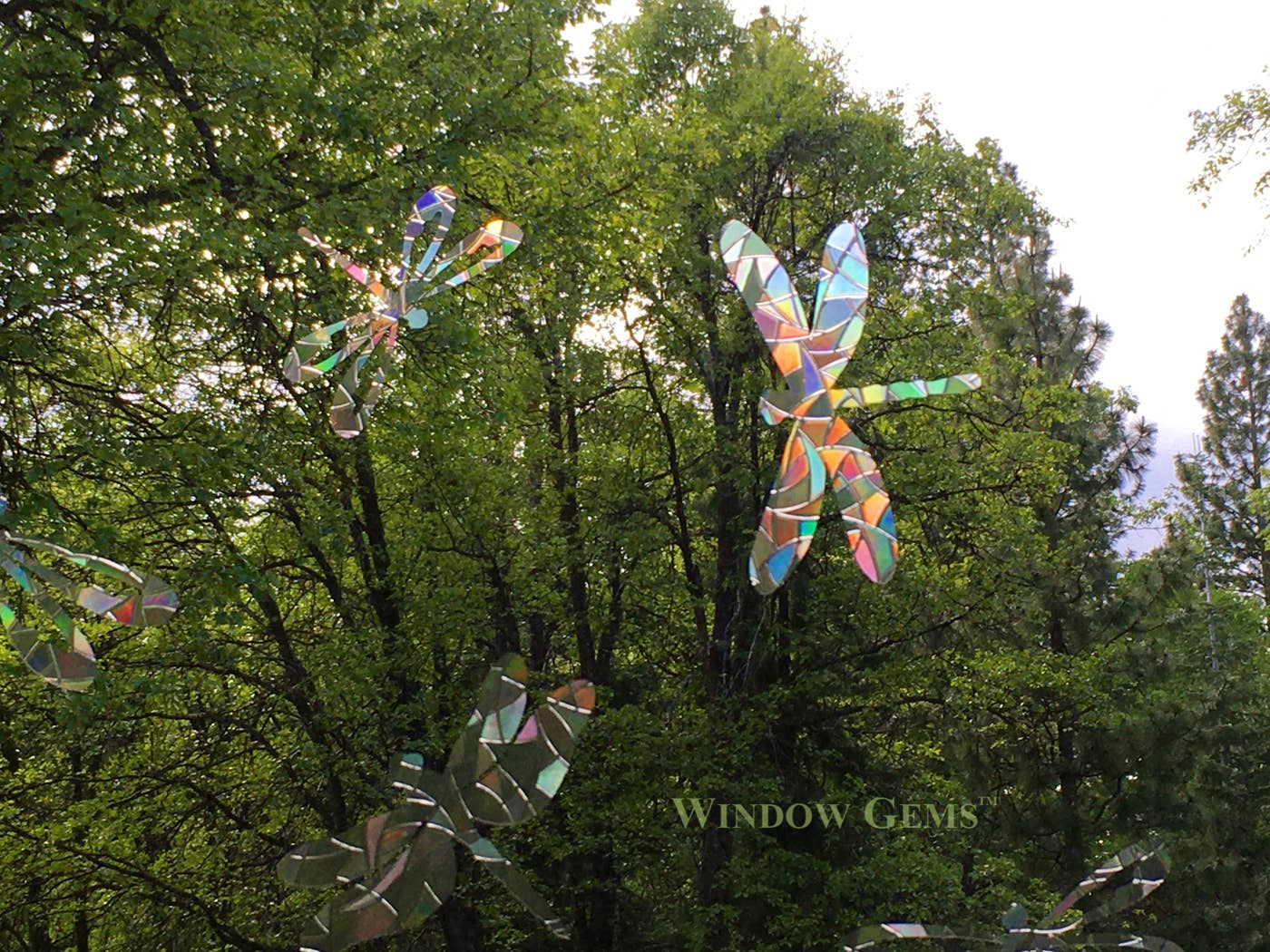 Dragonfly Window Clings - Bird Strike Warning Decals - Prism