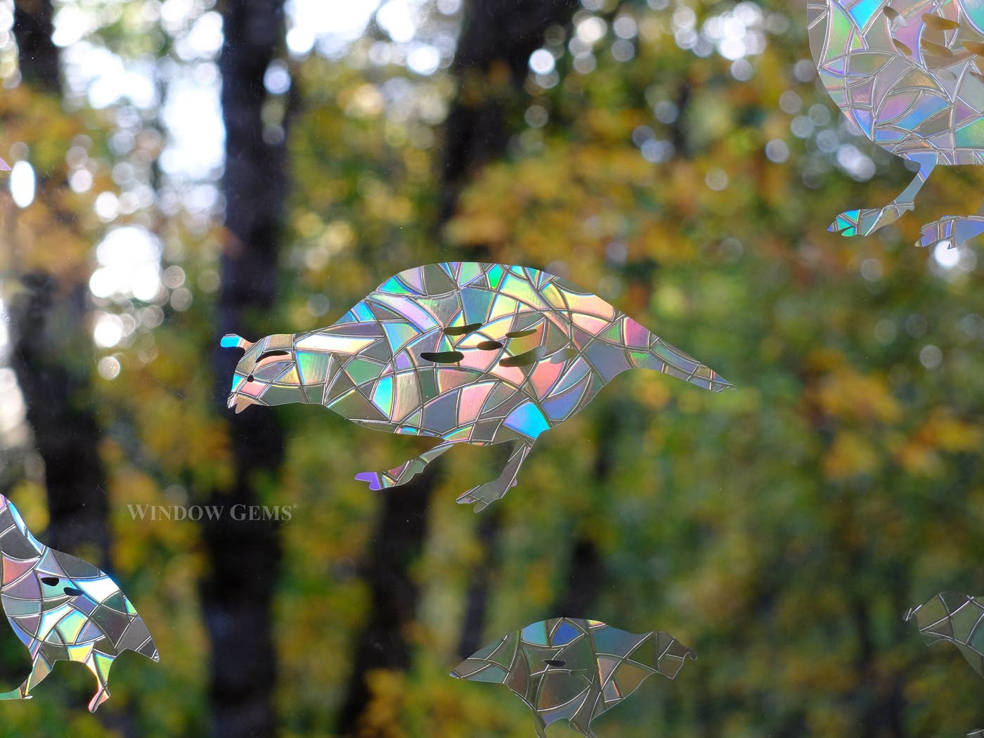 Quail Window Clings - Bird Strike Prevention Suncatchers