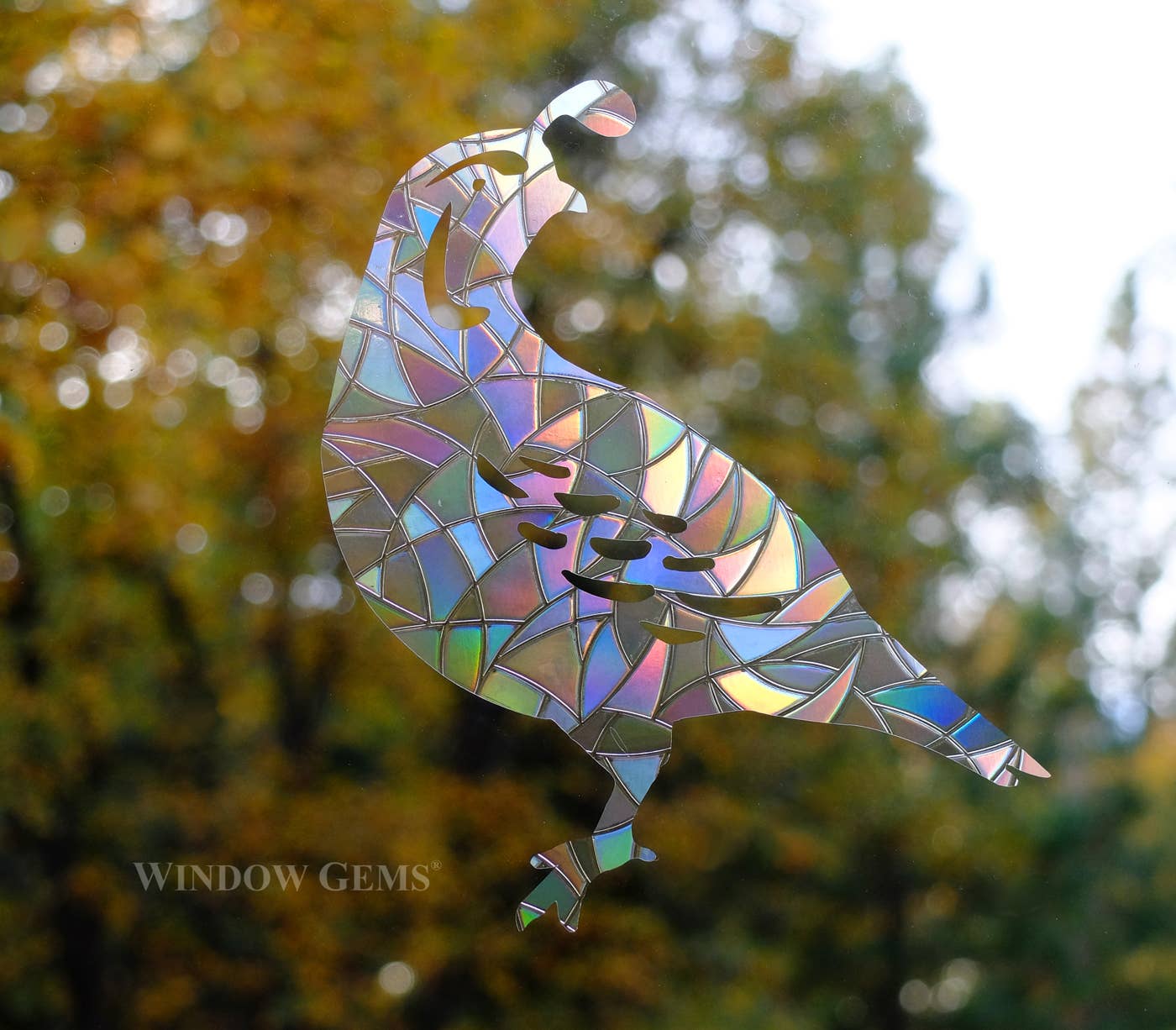 Quail Window Clings - Bird Strike Prevention Suncatchers