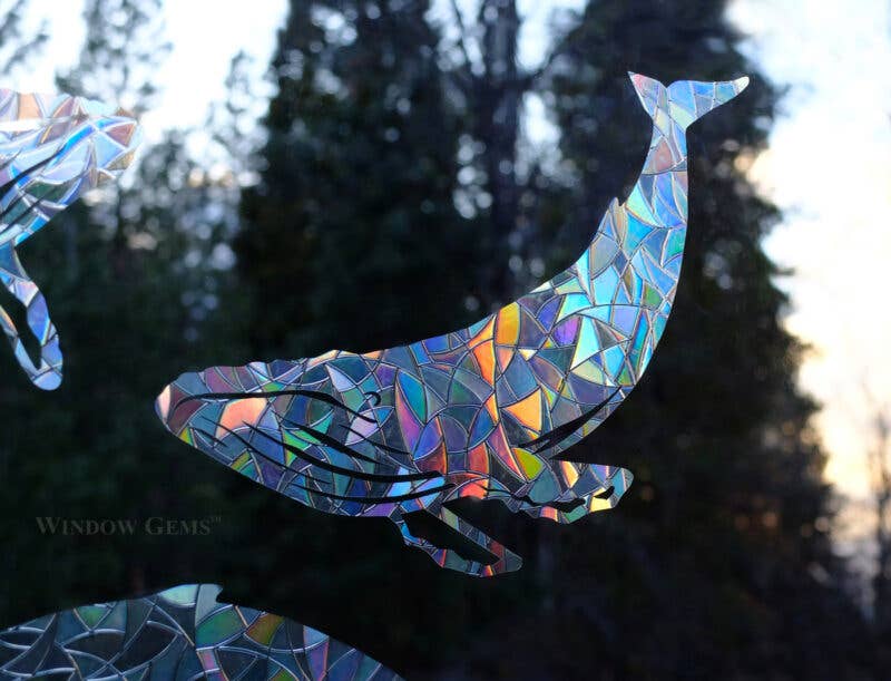 Humpback Whale Window Gems