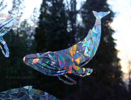 Humpback Whale Window Gems