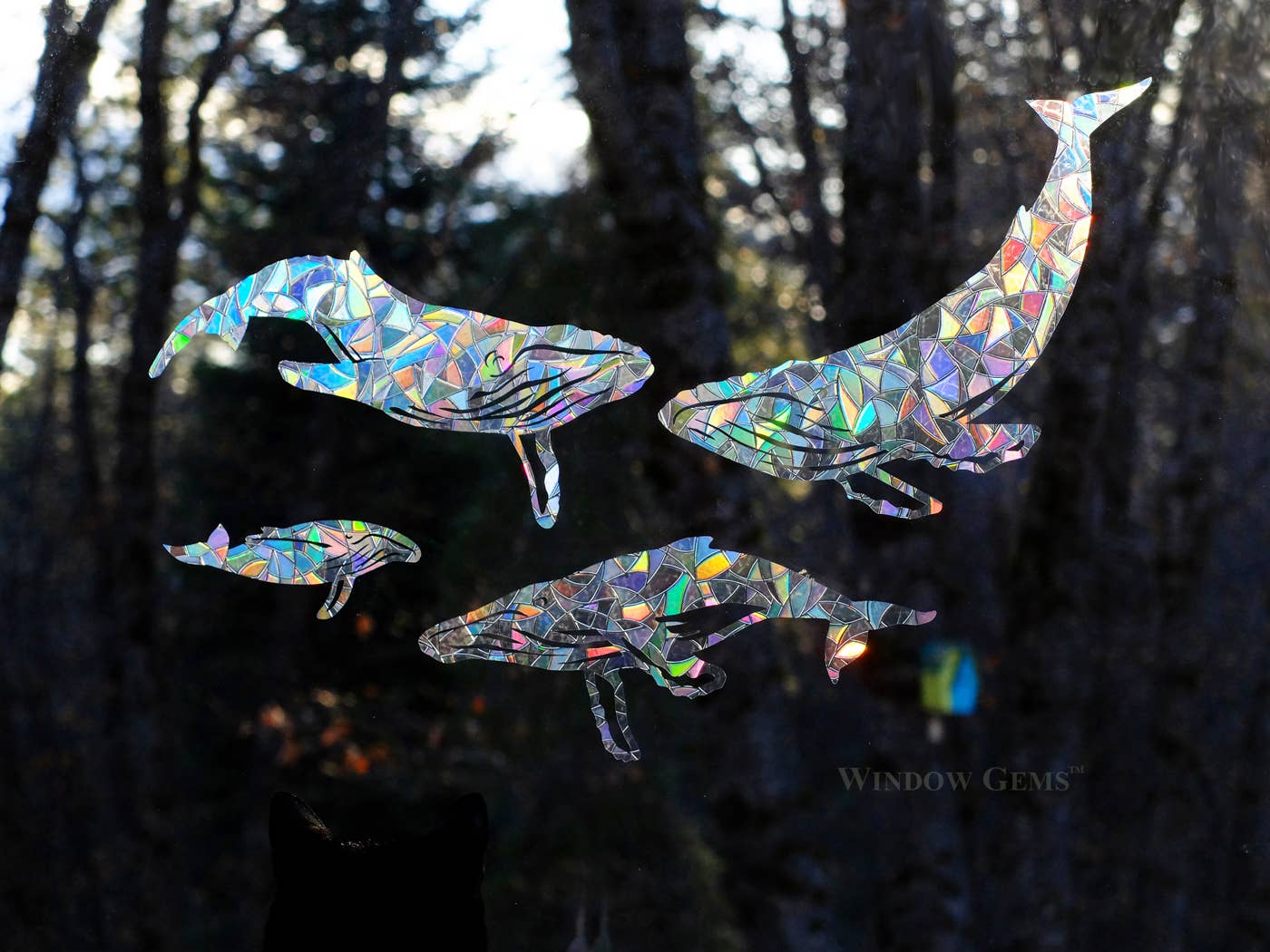 Humpback Whale Window Gems