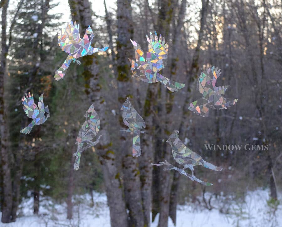 Cardinal Window Prismatic Decals - bird strike prevention