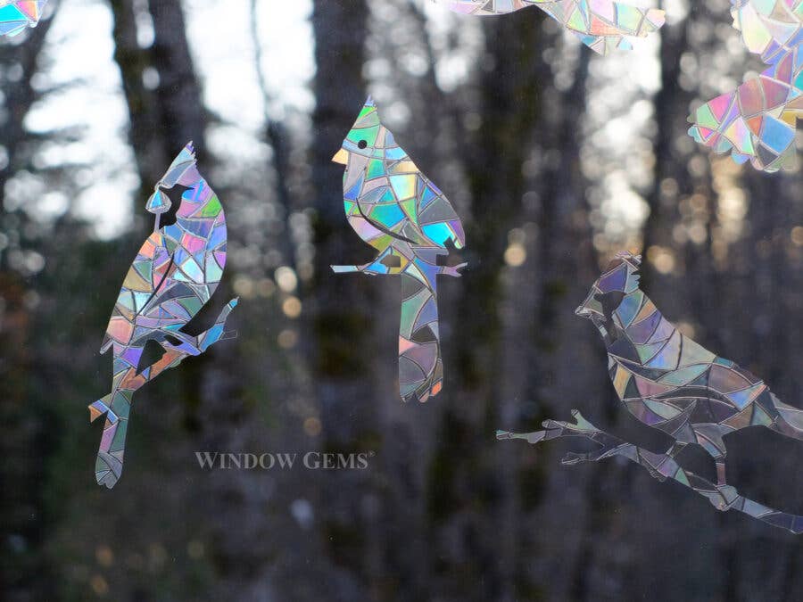 Cardinal Window Prismatic Decals - bird strike prevention
