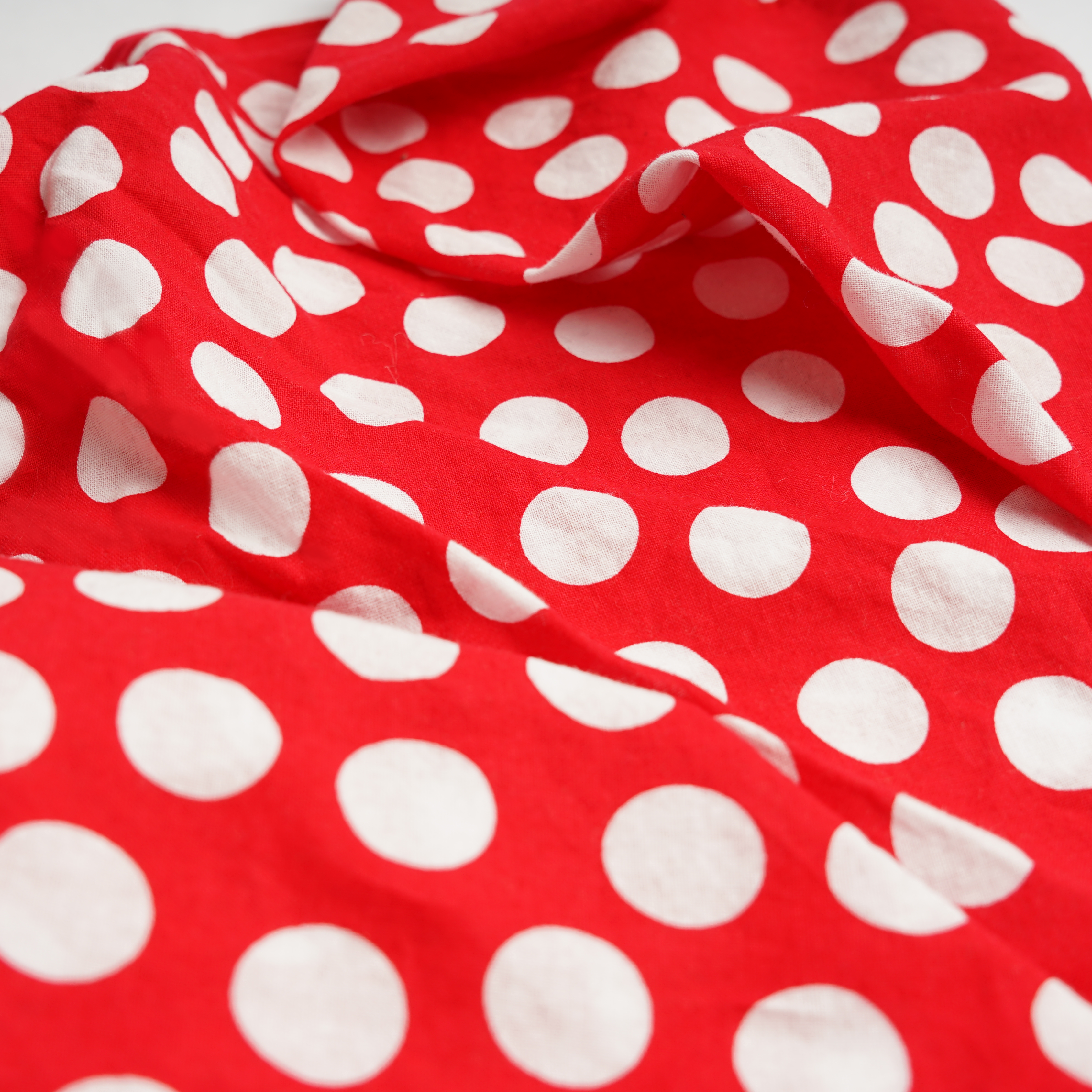 Polka Dot Bandana with Rosie National Park Logo ANNIVERSARY SALE 25% OFF IN CART