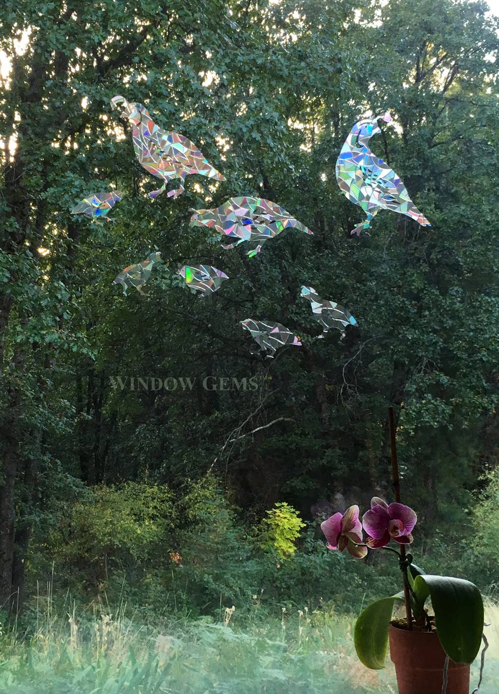 Quail Window Clings - Bird Strike Prevention Suncatchers