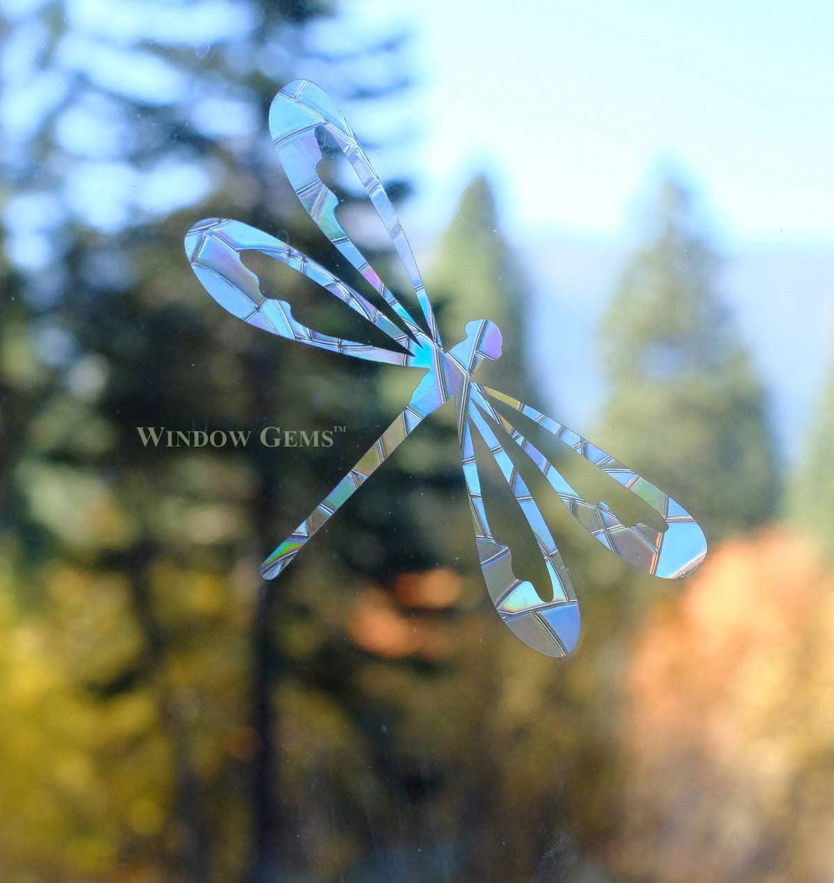 Dragonfly Window Clings - Bird Strike Warning Decals - Prism