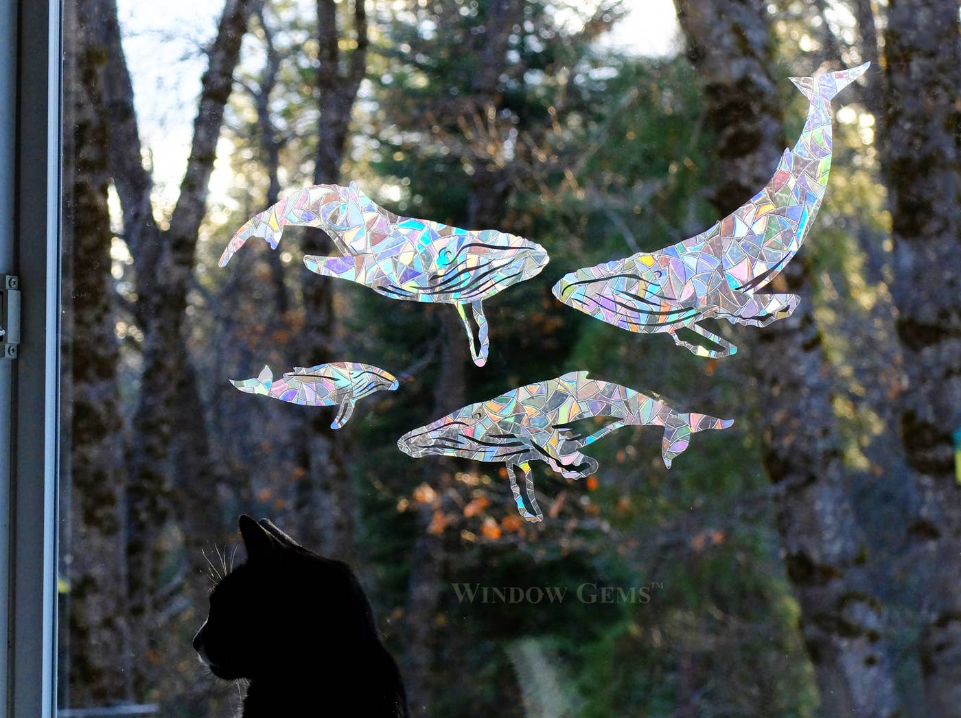 Humpback Whale Window Gems