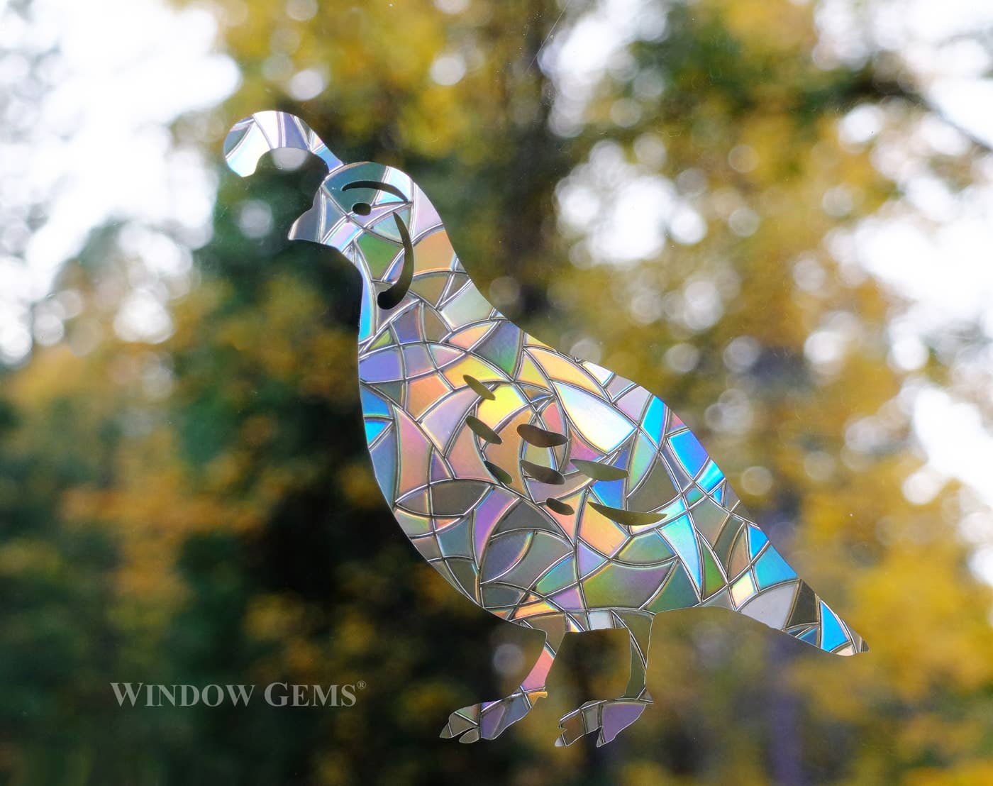 Quail Window Clings - Bird Strike Prevention Suncatchers
